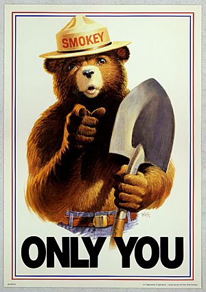 Uncle Sam style Smokey Bear Only You