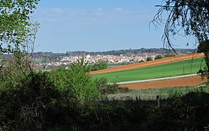 View of Valverde de Júcar, from Hontecillas