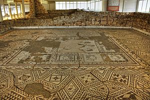 Villa Armira, the Mosaics 2