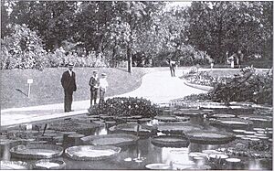Washington Park Lily Pond
