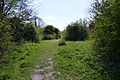 Weston Hills 3