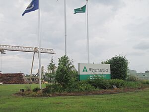 Weyerhaeuser in Simsboro, LA IMG 3639