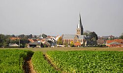 Wortegem (Wortegem-Petegem) - General View.jpg