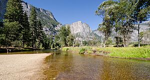 Yosemite Park at Swinging Bridge 2013