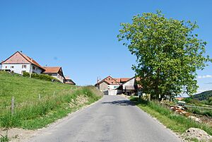 2014-05-18-Yverdon (Foto Dietrich Michael Weidmann) 125
