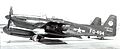 319th FAWS North American F-82F Twin Mustang 46-494