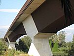A63D20943 - Puente del Milenario en Tortosa sobre Ebro.jpg