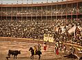 A bull fight, Barcelona, Spain-LCCN2001699358