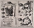 A double sheet showing various ophthalmology instruments, ey Wellcome V0016255