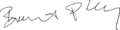Accession Treaty 2011 Borut Pahor signature