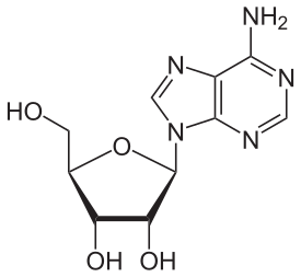 Adenosin
