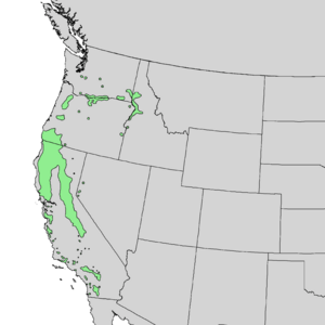 Alnus rhombifolia range map 1.png