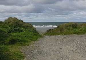 Approach to Ynyslas beach - geograph.org.uk - 986590