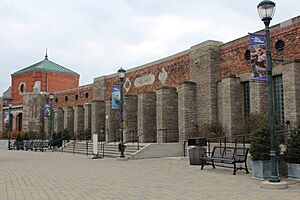 Aquarium at the Toledo Zoo