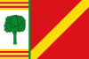 Flag of Barrachina
