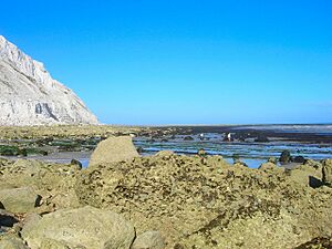 Beach at Beachy Head - geograph.org.uk - 906041