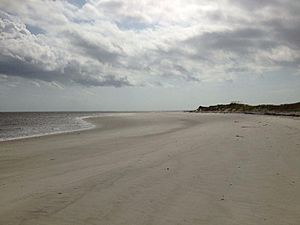 Beach on Deveaux Bank on the Atlantic Ocean in Charleston County, South Carolina, United States of America