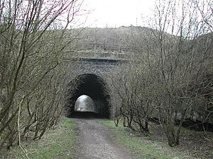 Birchall Tunnel, North Staffs - geograph.org.uk - 61267