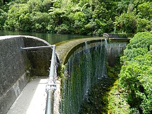 Birchville Dam spillway