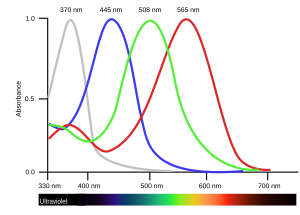 BirdVisualPigmentSensitivity