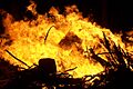 Bonfire3