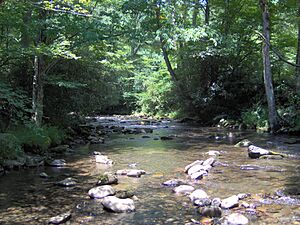 Bradley-fork-smokemont