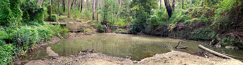 Browns Waterhole Lane Cove River