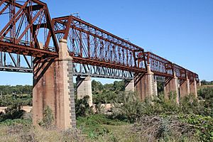 Burdekin River Rail Bridge (former) (2009).jpg