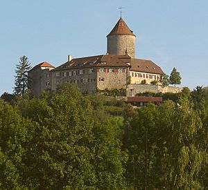 Reichenberg Castle