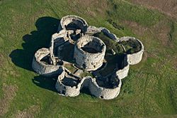 Camber Castle from the air
