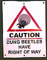 Caution Dung Beetles, South Africa