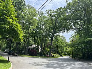 Central Drive at Woodcleft Avenue, Baxter Estates, Long Island, New York May 25, 2022