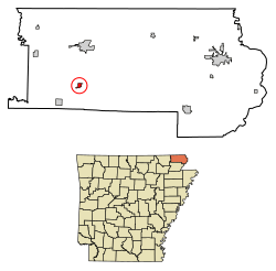 Location of Knobel in Clay County, Arkansas.