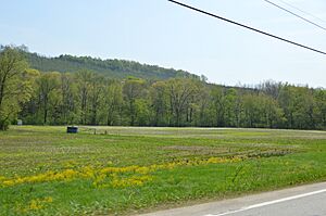 Cowanshannock Creek floodplain, Valley Township