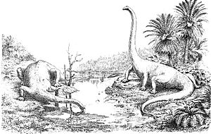 Diplodocus by Hay 1910