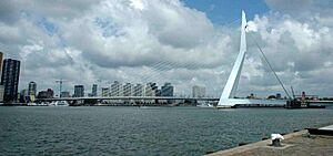 Erasmusbrug