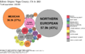 Ethnic Origins in Napa County, CA