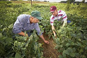Farmers in Rockingham County, Virginia