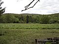 Farmland Jefferson NY