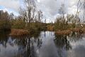 Felmersham Gravel Pits 9
