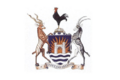 Flag of Mutare