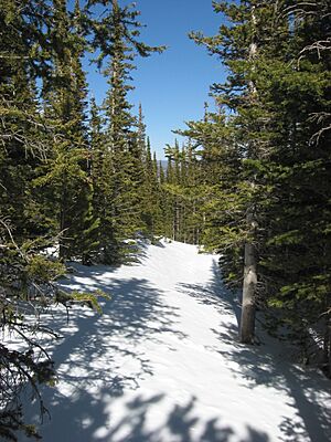 Flattop Mountain Trail in winter