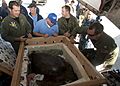 Flickr - Official U.S. Navy Imagery - Sailors evacuate an injured sea turtle