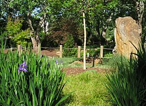 Furman University Japanese Garden - rock