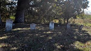 Gainesville United Methodist Church Cemetery - graves of the original Gaines family - cropped and darkened using GIMP