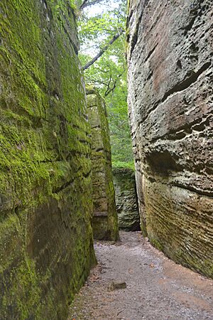Giant City SP 20140809-069
