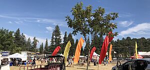 Gilroy Garlic Festival 11 2018-08-06 (cropped)