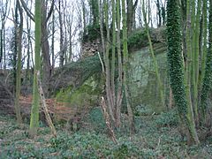 Horston Castle as it stands today.jpg