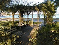 Howard Ward Park -- Nassau Bay, Texas