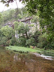 Hunter Creek bluff